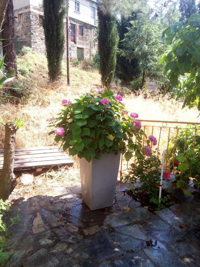 Lodge Kampi Double Storey House In The Village *